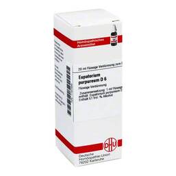 Abbildung: DHU Eupatorium purpureum D 6 Dilution Dilution, 20 ml PZN 07167588