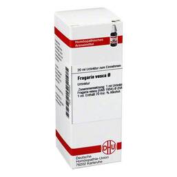Abbildung: DHU Fragaria vesca Urtinktur Dilution, 20 ml PZN 07168263
