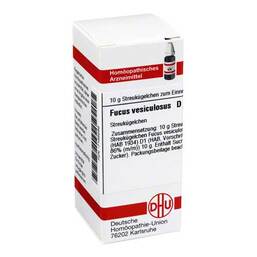 Abbildung: DHU Fucus vesiculosus D 1 Globuli Globuli, 10 g PZN 07168286