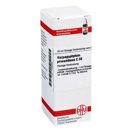 Abbildung: DHU Harpagophytum procumbens C 30 Dilution Dilution, 20 ml PZN 07169268