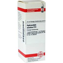 Abbildung: DHU Hydrocotyle asiatica D 6 Dilution Dilution, 20 ml PZN 07169825
