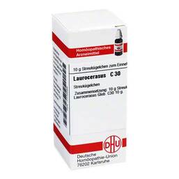 Abbildung: DHU Laurocerasus C 30 Globuli Globuli, 10 g PZN 07172069
