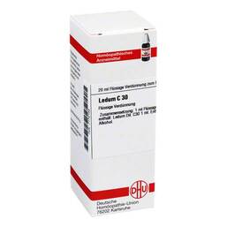 Abbildung: DHU Ledum C 30 Dilution Dilution, 20 ml PZN 07172135