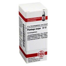 Abbildung: DHU Plantago Major D 12 Globuli Globuli, 10 g PZN 07177440