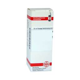 Abbildung: DHU Ratanhia D 6 Dilution Dilution, 20 ml PZN 07178646