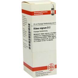 Abbildung: DHU Ribes Nigrum D 2 Dilution 20 ml, Dilution PZN 07179048