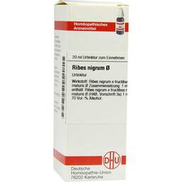 Abbildung: DHU Ribes Nigrum Urtinktur Dilution, 20 ml PZN 07179054