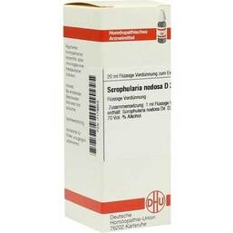 Abbildung: DHU Scrophularia nodosa D 3 Dilution Dilution, 20 ml PZN 07179858