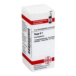 Abbildung: DHU Thuja D 1 Globuli Globuli, 10 g PZN 07182205
