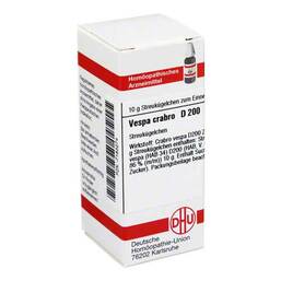 Abbildung: DHU Vespa Crabro D 200 Globuli Globuli, 10 g PZN 07183274
