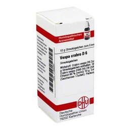 Abbildung: DHU Vespa Crabro D 6 Globuli Globuli, 10 g PZN 07183280