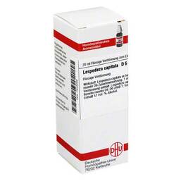 Abbildung: Lespedeza capitata D 6 Dilution Dilution, 20 ml PZN 07248269
