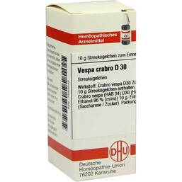 Abbildung: DHU Vespa Crabro D 30 Globuli Globuli, 10 g PZN 07250042