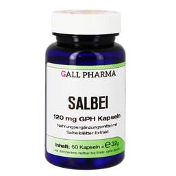 Abbildung: Salbei 120 mg GPH Kapseln Kapseln, 60 St PZN 07350996