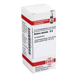 Abbildung: DHU Actaea spicata D 6 Globuli 10 g, Globuli PZN 07454135