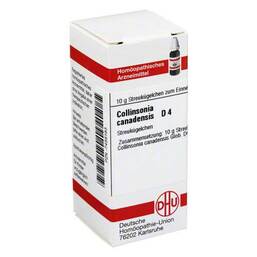 Abbildung: DHU Collinsonia canadensis D 4 G 10 g, Globuli PZN 07456163