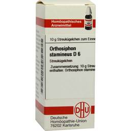 Abbildung: DHU Orthosiphon Stamineus D 6 Gl Globuli, 10 g PZN 07458771
