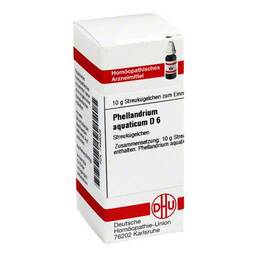 Abbildung: DHU Phellandrium Aquaticum D 6 G Globuli, 10 g PZN 07459026