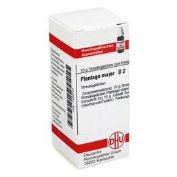Abbildung: DHU Plantago Major D 2 Globuli Globuli, 10 g PZN 07459144