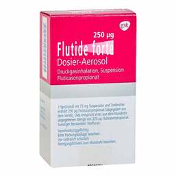 Abbildung: Flutide forte 250 µg Dos.-Aeros.120 Hub 1 St, Dosieraerosol PZN 07533194