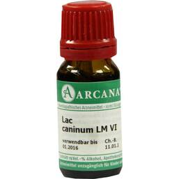 Abbildung: Lac caninum Arcana LM 6 Dilution Dilution, 10 ml PZN 07540834
