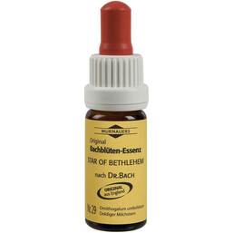 Abbildung: Bachblüten Murnauer Tropfen Star of Bethlehem Tropfen, 20 ml PZN 07752329
