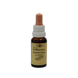 Abbildung: Bachblüten Murnauer Tropfen Chestnut Bud Tropfen, 20 ml PZN 07752507