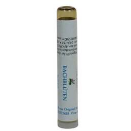 Abbildung: Bach Bluete Honeysuckle 16 Globuli, 1 g PZN 08028802