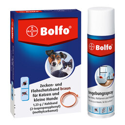 Abbildung: Bolfo Flohschutz Set 1 St PZN 08030957