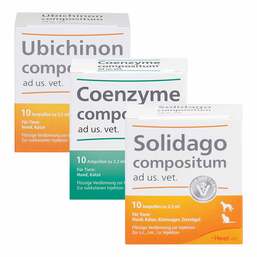 Abbildung: Suc Kombination 3x10 St, Kombipackung PZN 08032173