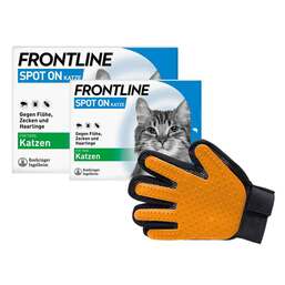Abbildung: Frontline Spot on Katze 3 + 6 St 9 St, Lösung PZN 08032278