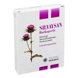Abbildung: Silvaysan Kapseln Kapseln, 20 St PZN 08440483