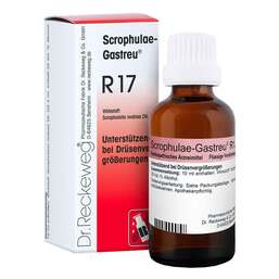 Abbildung: Scrophulae Gastreu R 17 Tropfen zum Einnehmen Mischung, 50 ml PZN 08492468