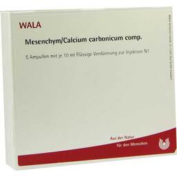Abbildung: Mesenchym / Calcium carbonicum comp. Ampullen 5X10 ml, Ampullen PZN 08510396