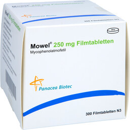 Abbildung: Mowel 250 mg Filmtabletten 300 St, Filmtabletten PZN 08755643