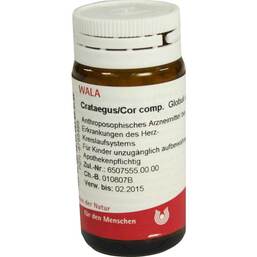 Abbildung: Arnica E Planta tota D 2 Globuli Globuli, 20 g PZN 08783763