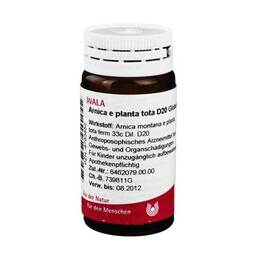 Abbildung: Arnica E Planta tota D 20 Gl Globuli, 20 g PZN 08783852
