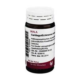 Abbildung: Cartilago / Echinacea comp.Globuli 20 g, Globuli PZN 08784946