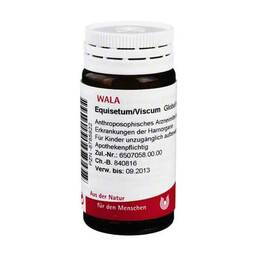 Abbildung: Equisetum / Viscum Globuli Globuli, 20 g PZN 08785822