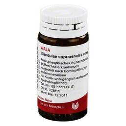 Abbildung: Glandulae suprarenalis comp. Gl Globuli, 20 g PZN 08786046