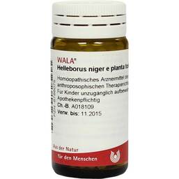 Abbildung: Helleborus Niger E Planta TO Globuli, 20 g PZN 08786075