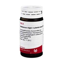 Abbildung: Helleborus Niger E Planta TO 20 g, Globuli PZN 08786081