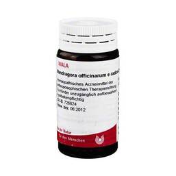 Abbildung: Mandragora officinale e Radice D 4 G 20 g, Globuli PZN 08786655