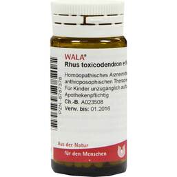 Abbildung: Rhus toxicodendron E foliis D 6 Globuli 20 g, Globuli PZN 08787376