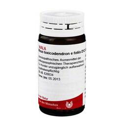 Abbildung: Rhus toxicodendron E foliis D 12 Globuli 20 g, Globuli PZN 08787382