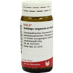 Abbildung: Solidago virgaurea ex herba Globuli, 20 g PZN 08787761