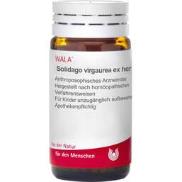 Abbildung: Solidago virgaurea ex herba Globuli, 20 g PZN 08787778