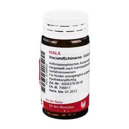 Abbildung: Viscum Echinacea Globuli 20 g, Globuli PZN 08788602