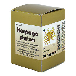 Abbildung: Harpagophytum Bioxera Kapsel 60 St, Kapseln PZN 08830770