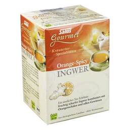 Abbildung: Ingwer Orange Spicy Tee Salus Filterbeutel, 15 St PZN 09003980